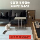 우리집 명당으로 꾸미기 | 집꾸미기 세레루나 가성비 리클라이닝 블랙 소파 후기 후회없는 자취생 필수템! 소파 베드