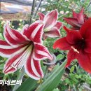 미네르바 - 남양주시 홍유릉로248번길 39 | 미네르바