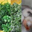 파래전 부치는방법 이미지