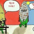 수려 이미지
