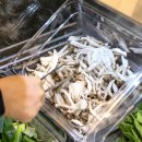 영천공설시장 | 샤브마니아영천롯데시네마점 영천맛집, 영천공설시장맛집 반반육수 샤브마니아추천
