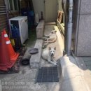 평양맛고을 이미지