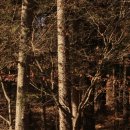 산마을 나드리 이미지