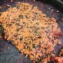 세븐일레븐 춘천효자점 | 숨겨진 춘천 효자동맛집을 찾는다면ㅣ'산천어춘천닭갈비' 주말 후기