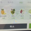 그릭데이북문로점
