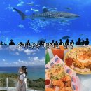 중부-현장-중부-1336 | 오키나와 자유여행 코스 비용 3박4일 일정 아이랑 관광지 후기