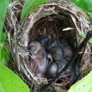 금강온천 이미지