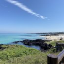 한마음초등로 이미지