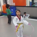 경희대 두산태권도 이미지