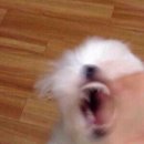 중계의원 이미지