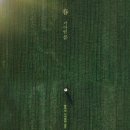 물의 기억 이미지