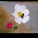 성주사 입구 이미지