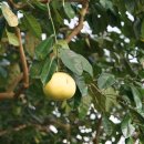 경남산림환경연구원의 1월 이미지