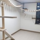 묘랑묘랑 일산점 이미지