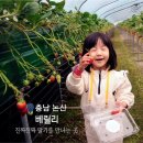 오와이농장 네이버블로그