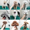 딥마리(deepMary) 이미지