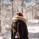 안녕, 내강아지 이미지