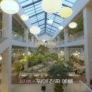 시그널디저트카페