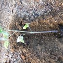 수평농장 이미지