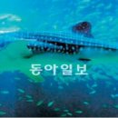 제주해양과학관 (아쿠아플라넷) 이미지