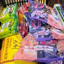 세븐일레븐광주월곡희망점 | 2026년 2월의 기록