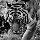 지명한의원 이미지