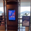 팰릭스바이에스티엑스 이미지