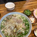 베트남쌀국수 티스토리