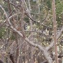 열린출입국행정사사무소 이미지