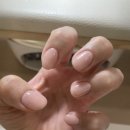 네일로즈우드