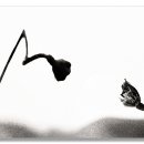 Endless love 이미지