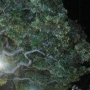 마당스낵 이미지