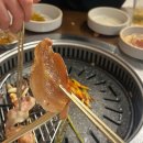 대구식당 | 대구 진천동 삼겹살맛집 &#39;뚱단지돼지정육식당&#39; 대구진천점 후기