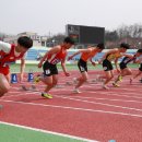 예천공설테니스장 이미지