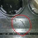 (주)셀스타 이미지