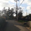 인성리-2 이미지