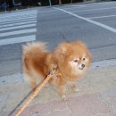 원주종합체육관 이미지