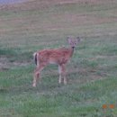 Haystacks(Loyalsock Creek Trail), Loyalsock State Forest (08/30/22) 이미지