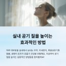 공기청정기 대신 공기정화식물, 우리 집의 작은 습지 | 실내 공기 질을 높이는 효과적인 방법