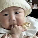 서우네목장 이미지