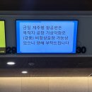 제주스냅 촬영 후기 1. 나.. 공주놀이 좋아하네.. (캄포데피오리, 포르타피오리)
