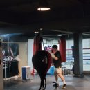 신순철 복싱클럽(보라점) | [역삼운동] 강남챌린지다이어트복싱클럽 - 땀 쫙쫙 흘리며 원투!원투! 원데이 체험 후기