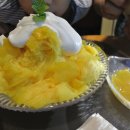 삼평동664-1 이미지