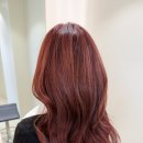 부시시 | 내돈내산] 아르결 성수점 태리디자이너님께 밀본클리닉 받은 후기｜부시시·바사삭 손상모 1시간 케어 체감