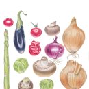 보태니컬아트(색연필그림) | 플라워 헤드 완성작 /보태니컬아트/색연필꽃그림/부천화실