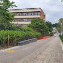 진흥초교 이미지