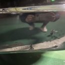 진영카공업사 이미지