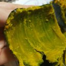 윤희농장 이미지