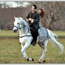 퍼리테일 이미지