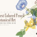 처음 시작하는 그림 이미지